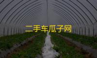 二手车瓜子网